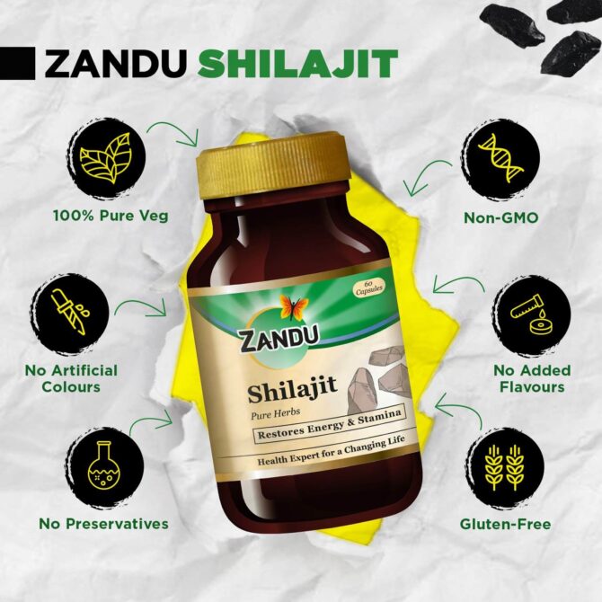 Zandu Shilajit 60 Capsule,With Free Shipping