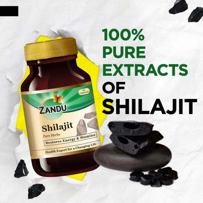 Zandu Shilajit 60 Capsule,With Free Shipping