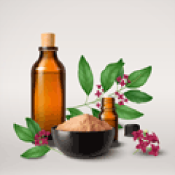 Ayurveda Products